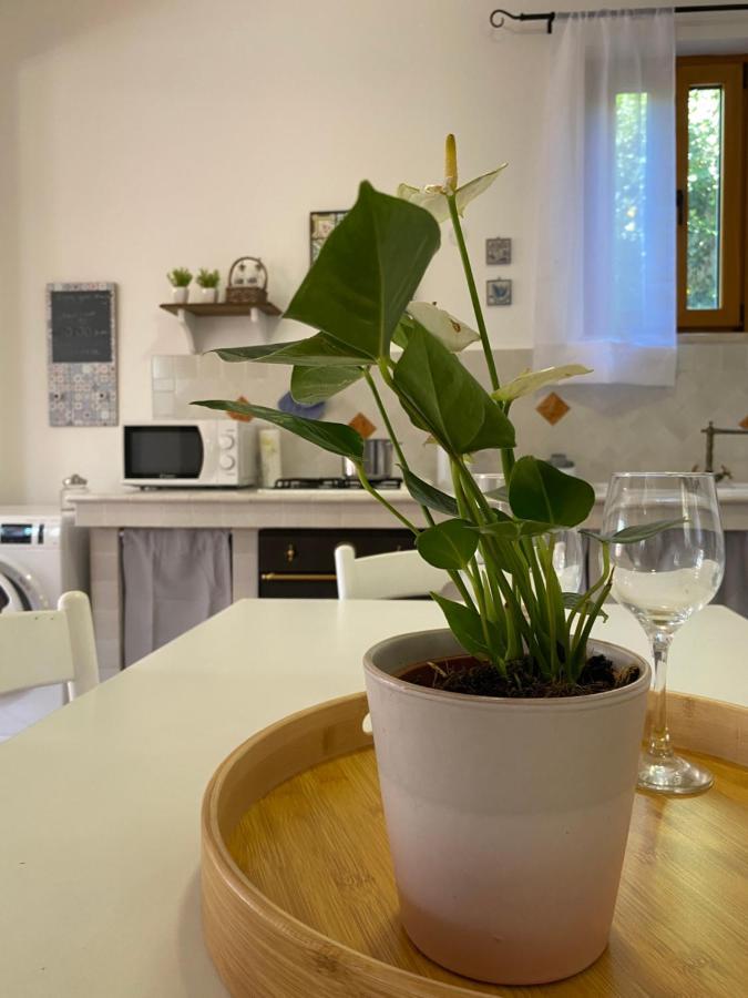 Mondello Holiday Home المظهر الخارجي الصورة